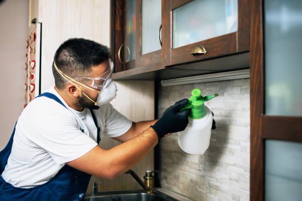 Best Pest Inspection Near Me  in Huntertown, IN