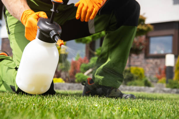 Professional Pest Control in Huntertown, IN