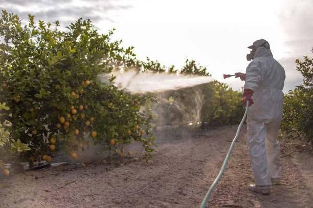 Best Best Pest Control Companies  in Huntertown, IN