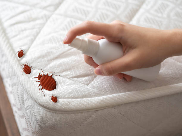 Best Pest Prevention Services  in Huntertown, IN