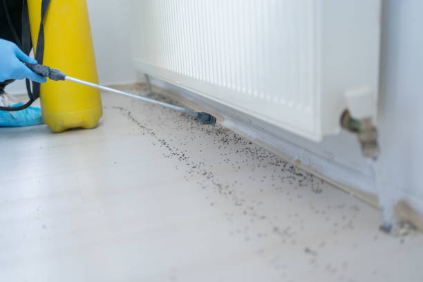 Best Exterminator Services  in Huntertown, IN